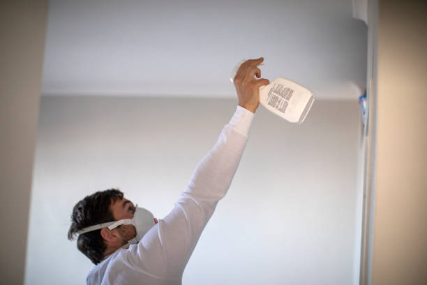 Best Local Mold Removal Service  in Johnstown, NY