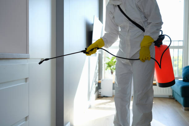 Home Mold Removal in Johnstown, NY