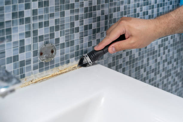 Best Certified Mold Removal  in Johnstown, NY
